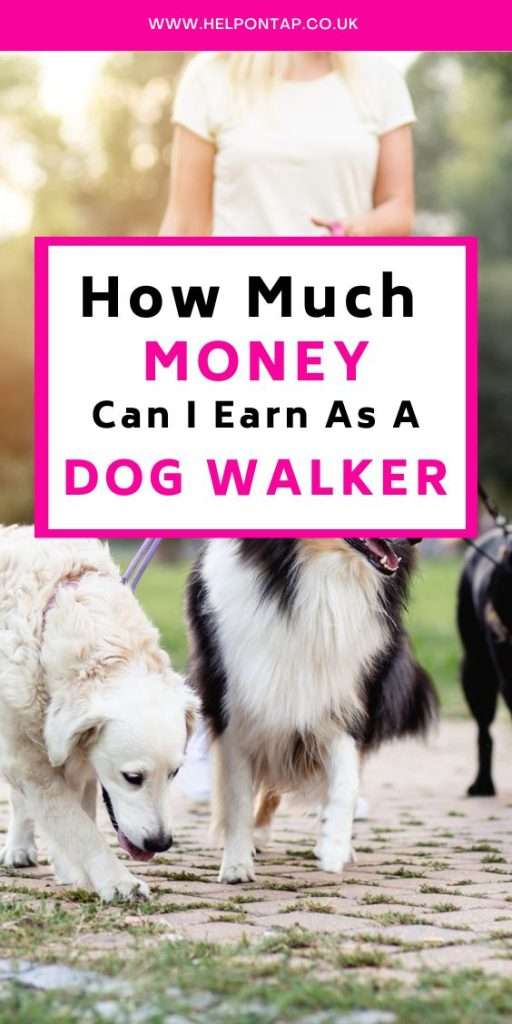 How Much Money Can I Earn As A Dog Walker
