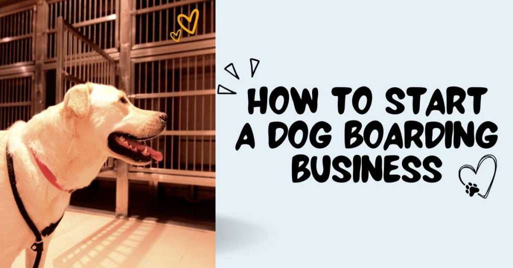 How to start a dog boarding business from home or kennels