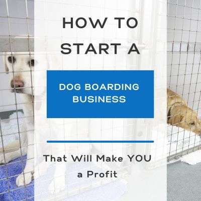 How to start a dog boarding business