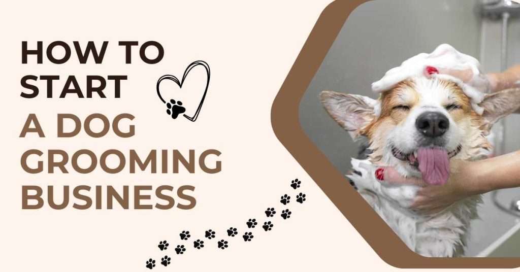 How to start a dog grooming business - dog groomer
