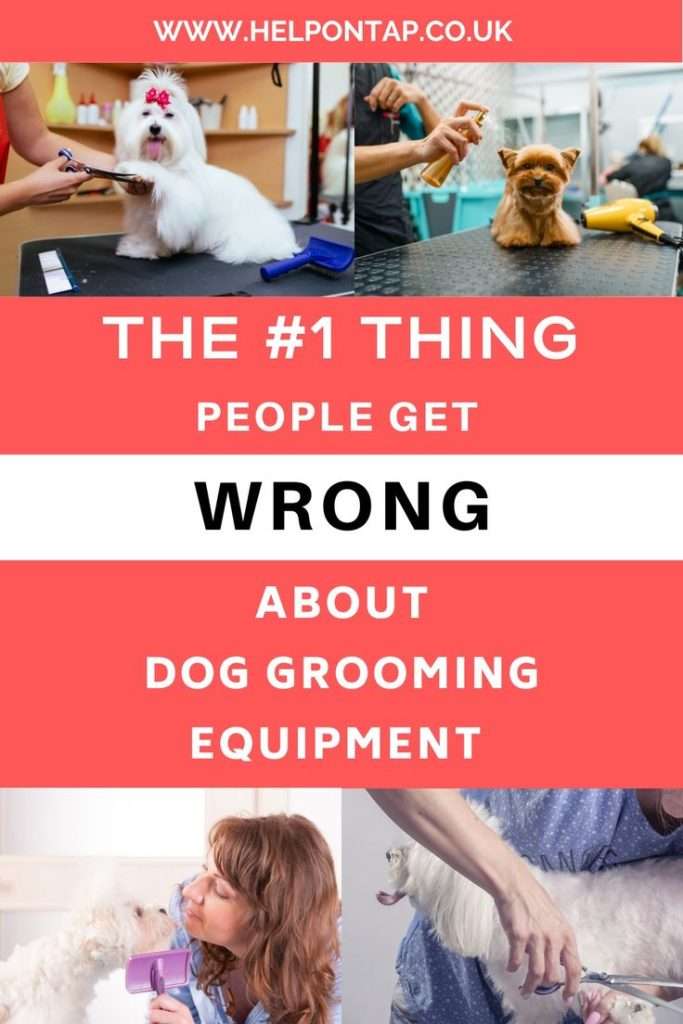 the number one thing people get wrong about dog grooming equipment