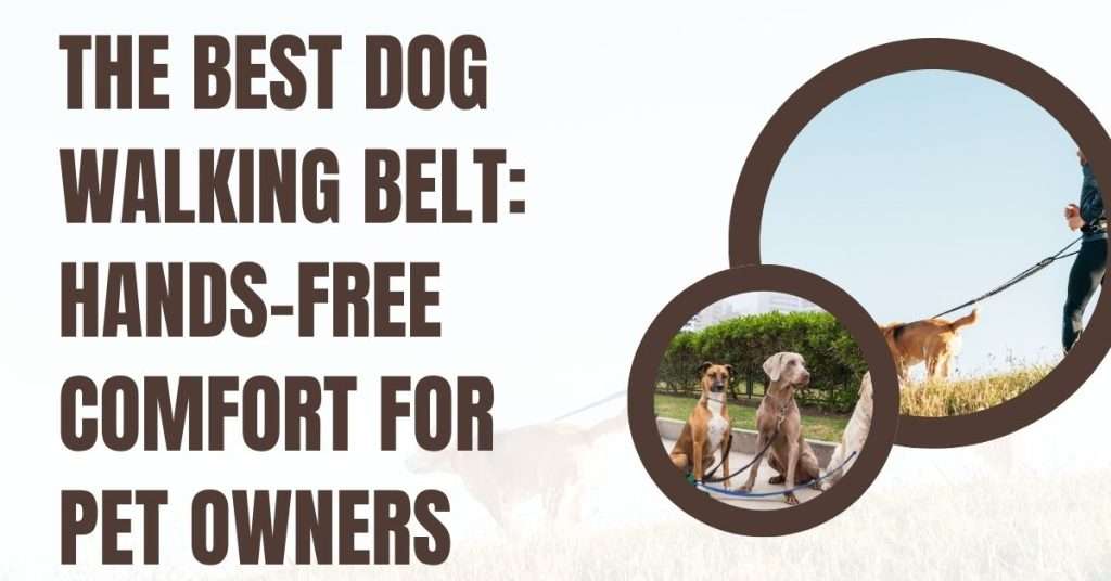 Dog Walking Belts for Dog Walkers